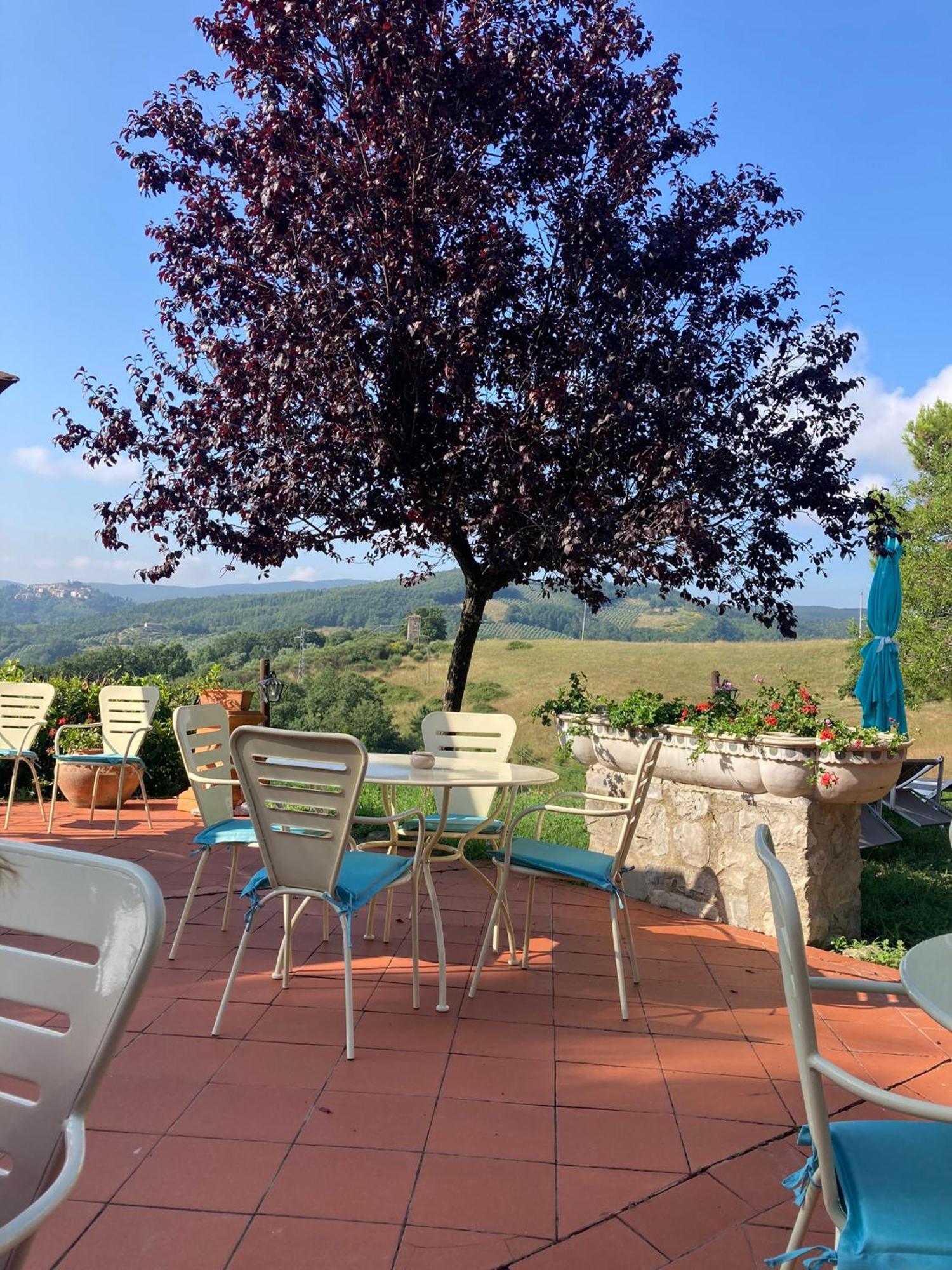 Country House La Collina Di Bargiano - Casa Raffaella Allerona Extérieur photo